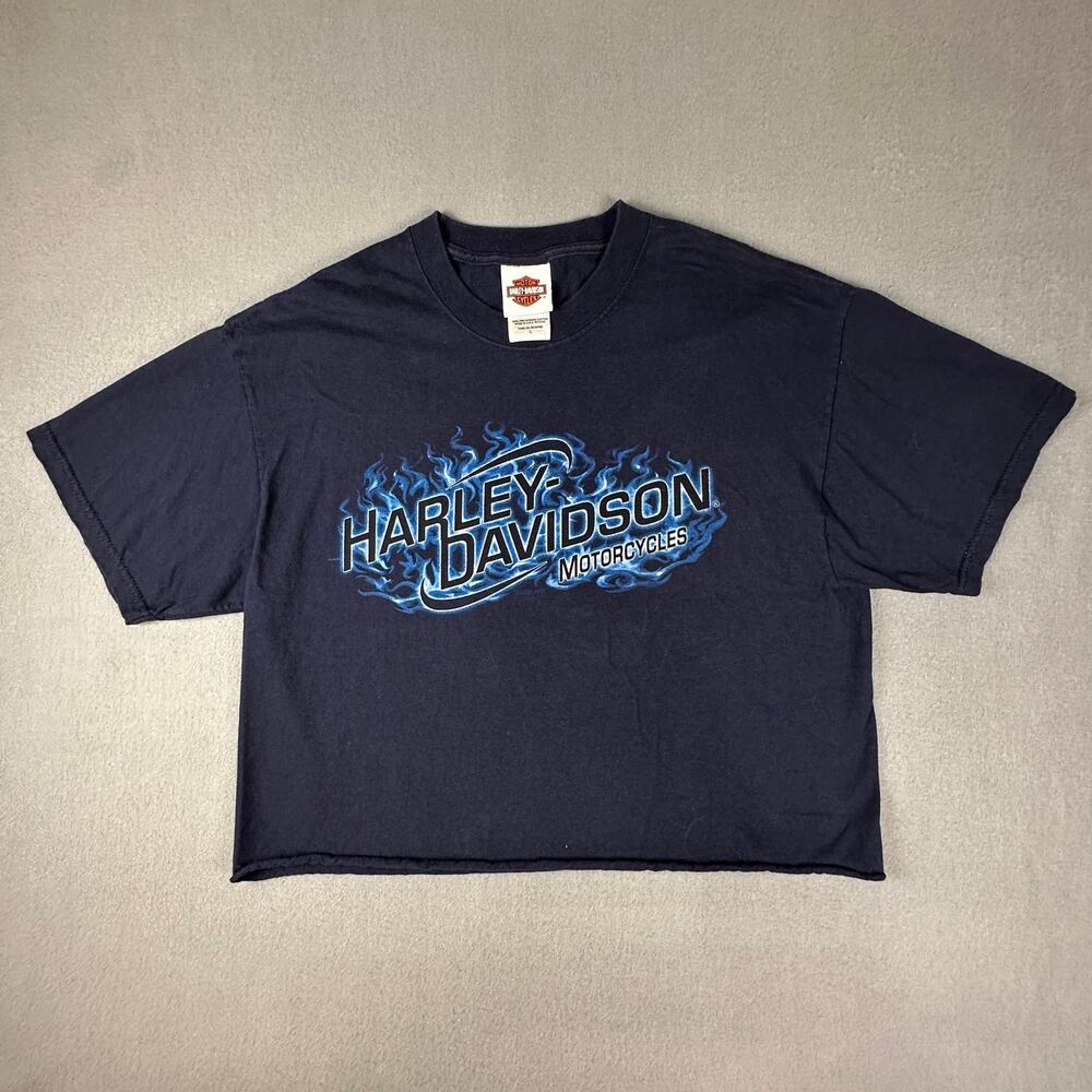 Harley-Davidson Cropped Tee Large Pensacola FL Graphic Biker Shirt USA